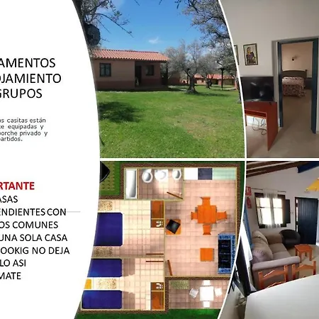 Complejo Aldea Vetonia Check Out Hasta Las 20H Piscina Abierta Parque De Mascotas Zonas Infantiles Ideal Grupos Parejas Familias Informate Hervás Esterno foto