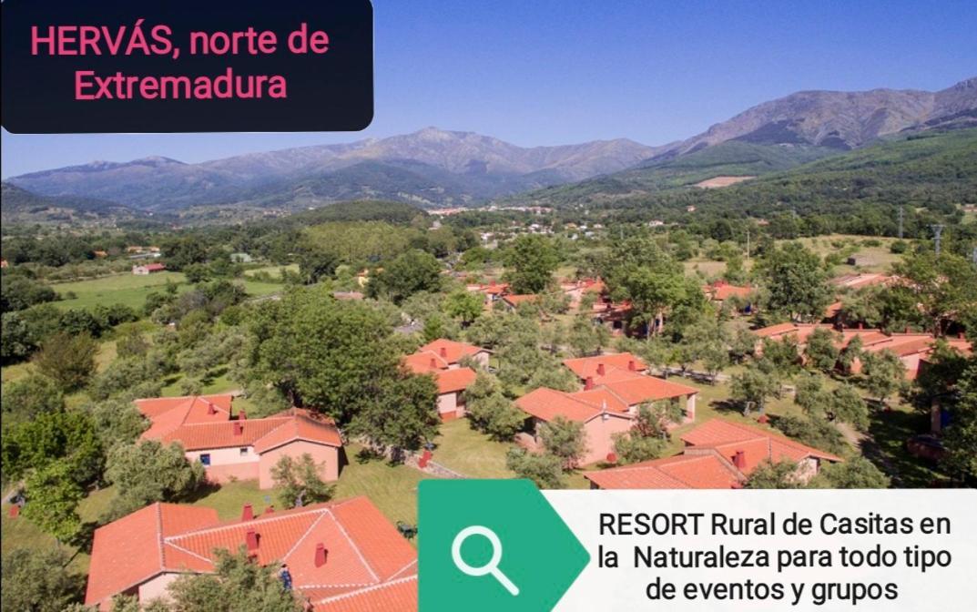Mascotas Y Check Out Hasta 18h Gratis Complejo Aldea Vetonia Casitas Y Con Jardín 1 A 5 Plazas- Contacta Grupos De Amigos Navidades Clubes Senderismo, Eventos, Bodas, Colegios, Hasta 140 Plazas Ocio Relax Y Naturaleza