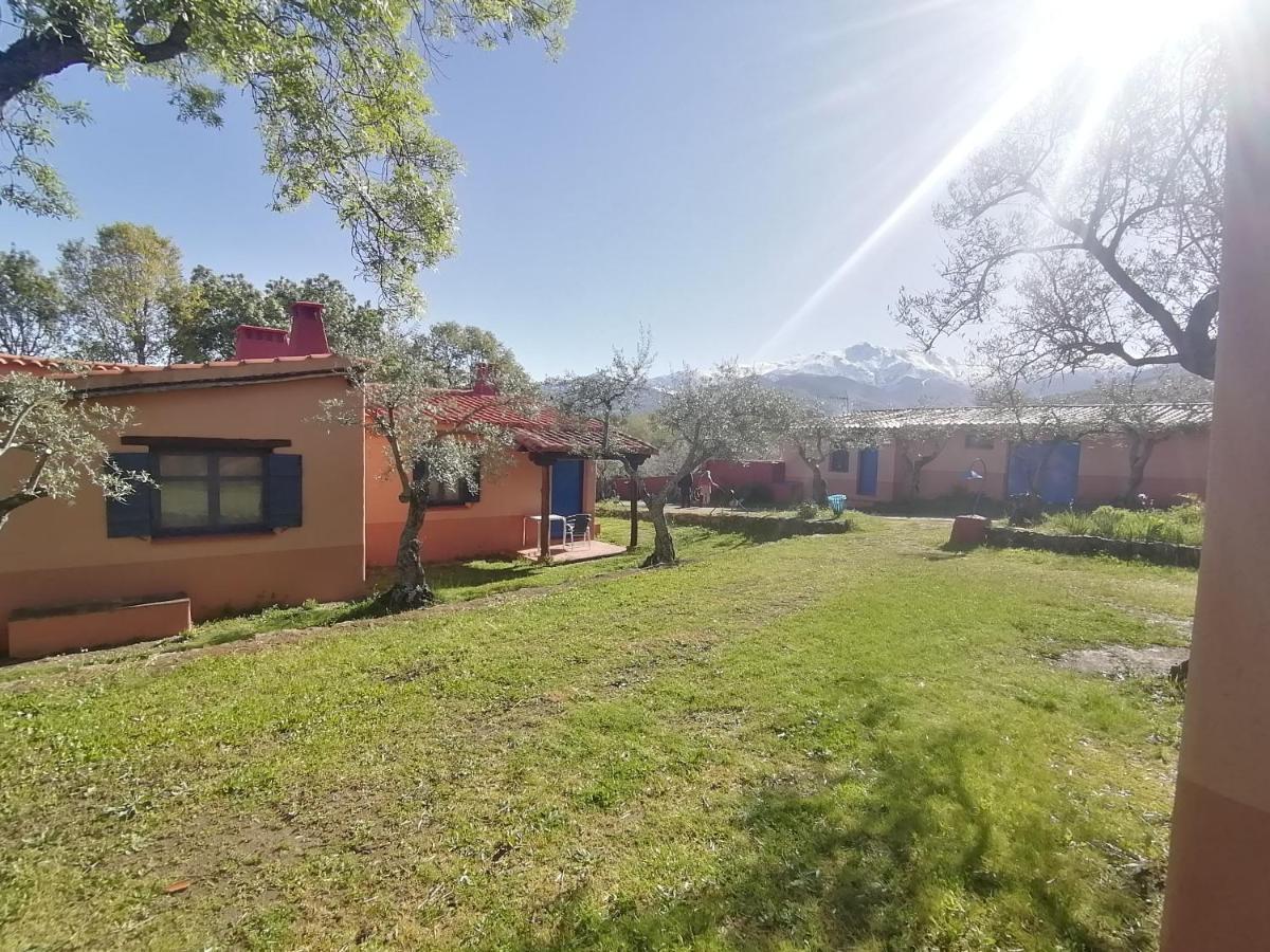 Mascotas y Check out hasta 18h gratis COMPLEJO ALDEA VETONIA HERVAS Casitas y Villas con jardín 1 a 5 plazas- CONTACTA PARA GRUPOS de amigos Navidades Clubes senderismo, Eventos, BODAS, Colegios, hasta 140 plazas OCIO RELAX Y NATURALEZA Apartamento