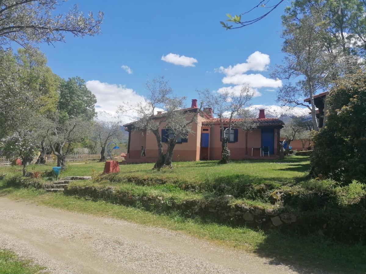 Mascotas Y Check Out Hasta 18h Gratis Complejo Aldea Vetonia Casitas Y Con Jardín 1 A 5 Plazas- Contacta Grupos De Amigos Navidades Clubes Senderismo, Eventos, Bodas, Colegios, Hasta 140 Plazas Ocio Relax Y Naturaleza Apartamento *