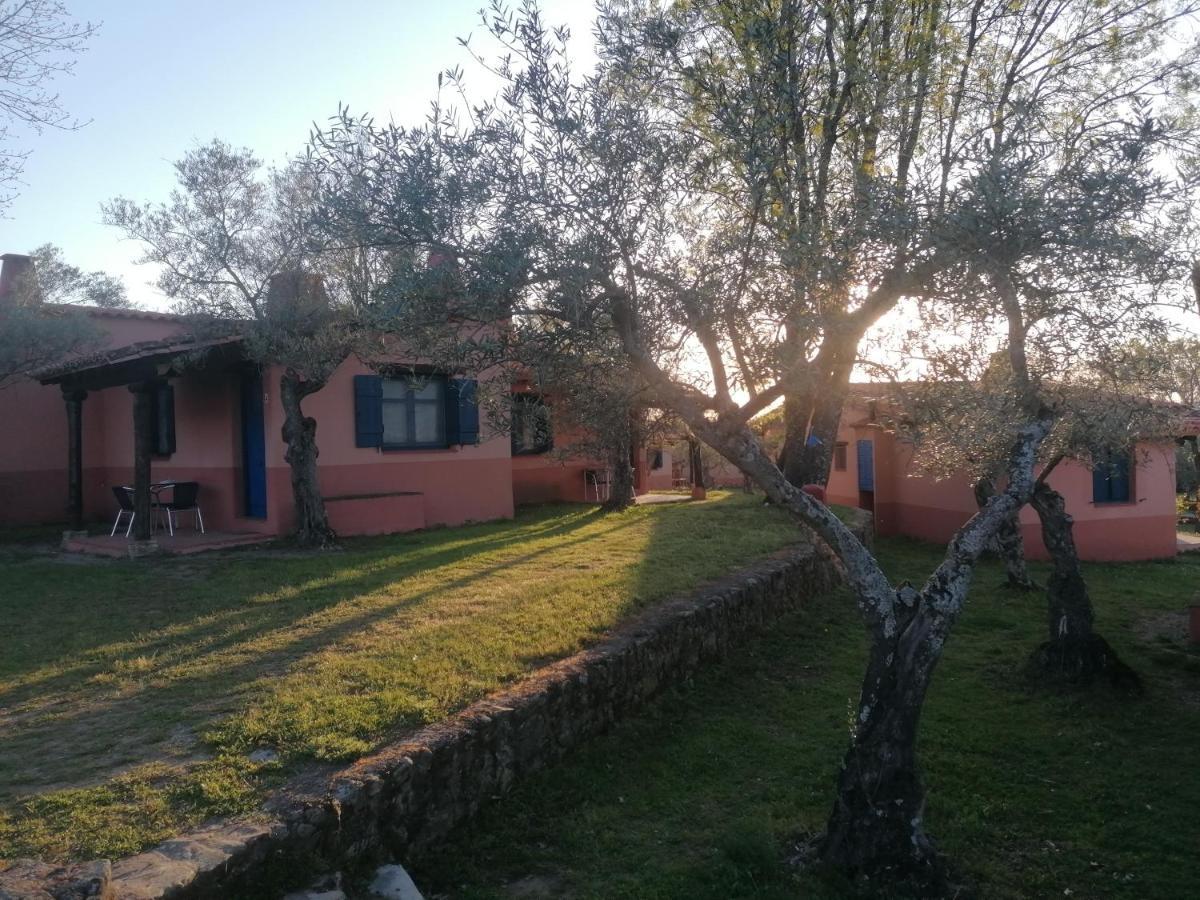 Mascotas Y Check Out Hasta 18h Gratis Complejo Aldea Vetonia Casitas Y Con Jardín 1 A 5 Plazas- Contacta Grupos De Amigos Navidades Clubes Senderismo, Eventos, Bodas, Colegios, Hasta 140 Plazas Ocio Relax Y Naturaleza Hervás