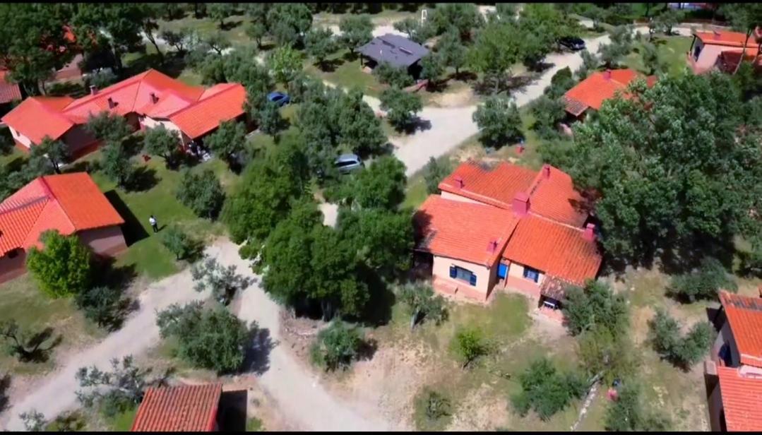 Apartamento Mascotas Y Check Out Hasta 18h Gratis Complejo Aldea Vetonia Casitas Y Con Jardín 1 A 5 Plazas- Contacta Grupos De Amigos Navidades Clubes Senderismo, Eventos, Bodas, Colegios, Hasta 140 Plazas Ocio Relax Y Naturaleza Hervás