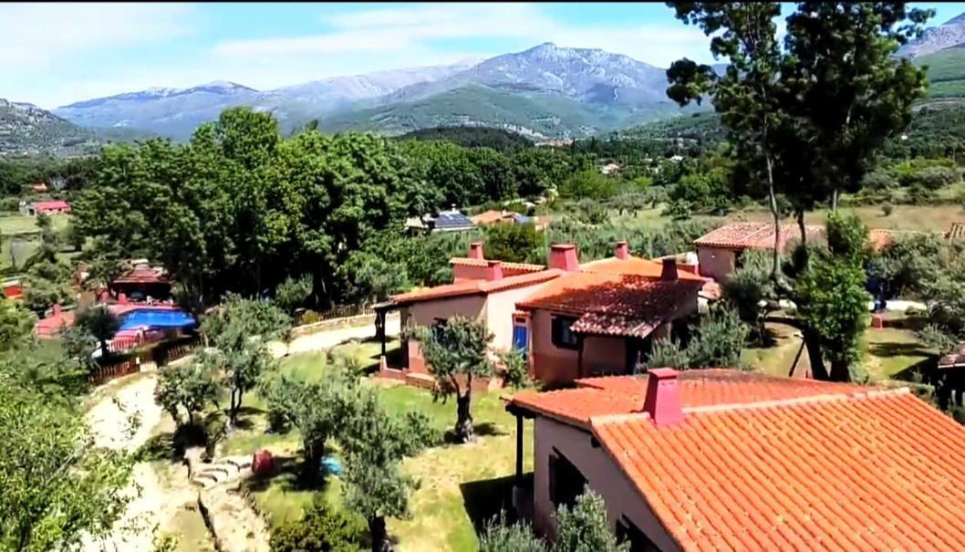 Mascotas Y Check Out Hasta 18h Gratis Complejo Aldea Vetonia Casitas Y Con Jardín 1 A 5 Plazas- Contacta Grupos De Amigos Navidades Clubes Senderismo, Eventos, Bodas, Colegios, Hasta 140 Plazas Ocio Relax Y Naturaleza