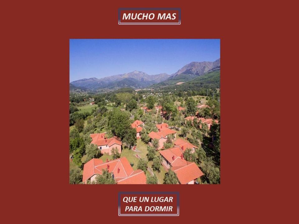 Mascotas Y Check Out Hasta 18h Gratis Complejo Aldea Vetonia Casitas Y Con Jardín 1 A 5 Plazas- Contacta Grupos De Amigos Navidades Clubes Senderismo, Eventos, Bodas, Colegios, Hasta 140 Plazas Ocio Relax Y Naturaleza Apartamento