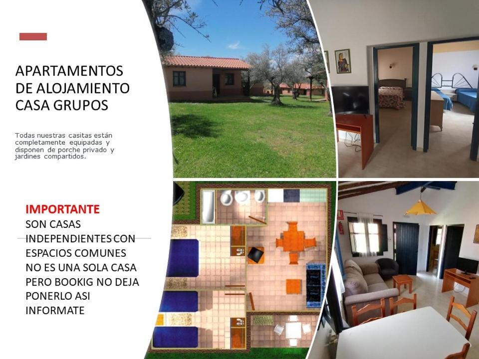 Apartamento Mascotas y Check out hasta 18h gratis COMPLEJO ALDEA VETONIA HERVAS Casitas y Villas con jardín 1 a 5 plazas- CONTACTA PARA GRUPOS de amigos Navidades Clubes senderismo, Eventos, BODAS, Colegios, hasta 140 plazas OCIO RELAX Y NATURALEZA