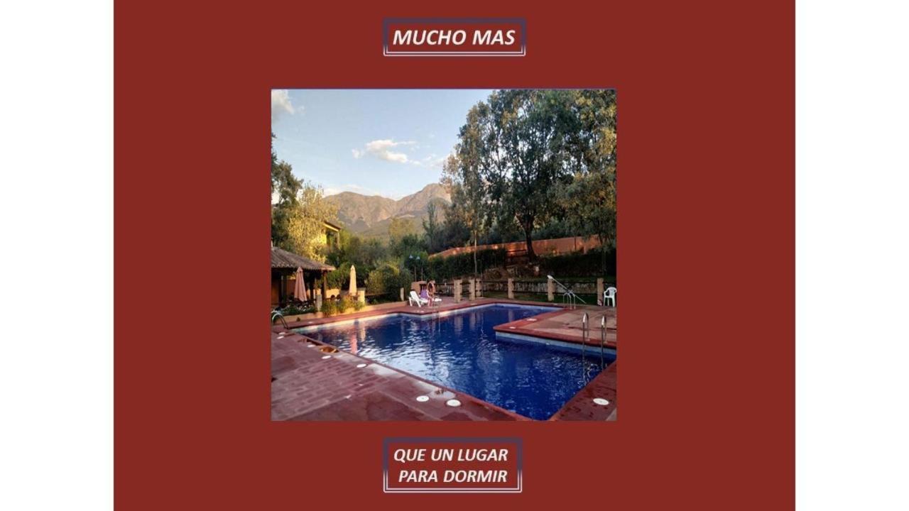 Mascotas Y Check Out Hasta 18h Gratis Complejo Aldea Vetonia Casitas Y Con Jardín 1 A 5 Plazas- Contacta Grupos De Amigos Navidades Clubes Senderismo, Eventos, Bodas, Colegios, Hasta 140 Plazas Ocio Relax Y Naturaleza