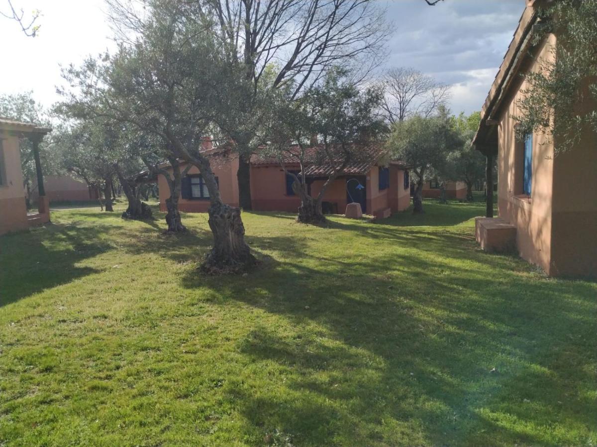 Mascotas Y Check Out Hasta 18h Gratis Complejo Aldea Vetonia Casitas Y Con Jardín 1 A 5 Plazas- Contacta Grupos De Amigos Navidades Clubes Senderismo, Eventos, Bodas, Colegios, Hasta 140 Plazas Ocio Relax Y Naturaleza Apartamento
