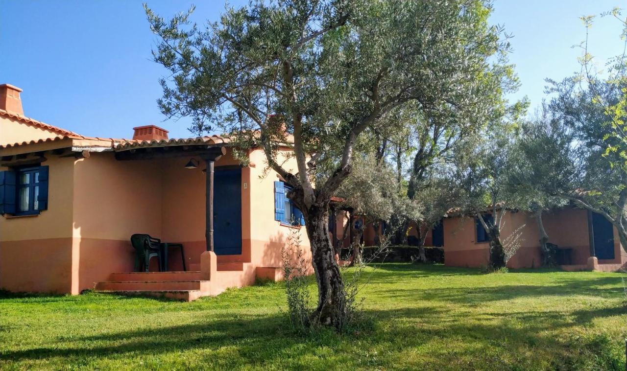Mascotas Y Check Out Hasta 18h Gratis Complejo Aldea Vetonia Casitas Y Con Jardín 1 A 5 Plazas- Contacta Grupos De Amigos Navidades Clubes Senderismo, Eventos, Bodas, Colegios, Hasta 140 Plazas Ocio Relax Y Naturaleza * Hervás
