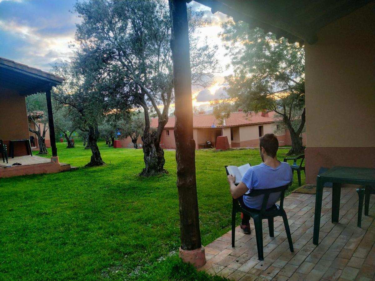 Aldea Vetonia Bungalows * Hervás