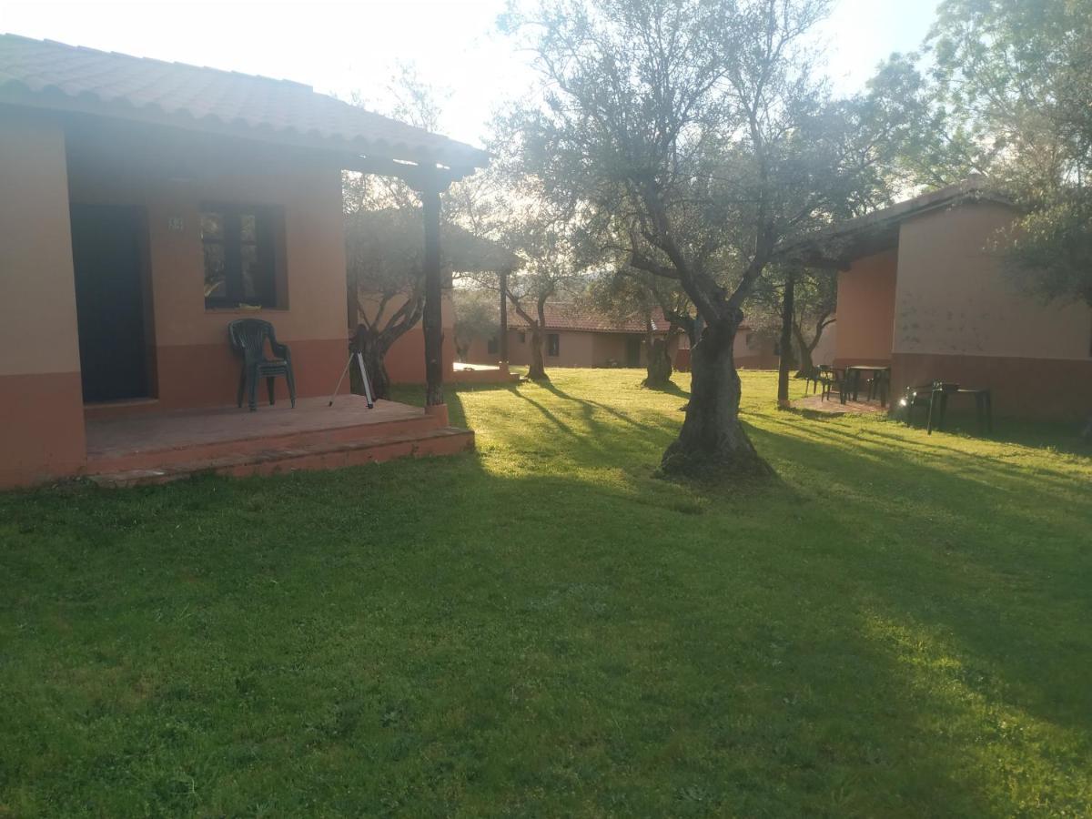 Apartamento Mascotas Y Check Out Hasta 18h Gratis Complejo Aldea Vetonia Casitas Y Con Jardín 1 A 5 Plazas- Contacta Grupos De Amigos Navidades Clubes Senderismo, Eventos, Bodas, Colegios, Hasta 140 Plazas Ocio Relax Y Naturaleza Hervás